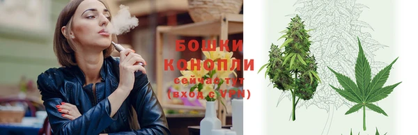 шишки Беломорск