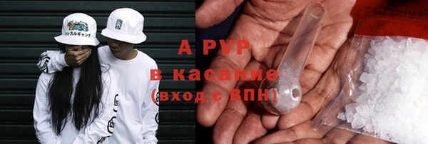 шишки Беломорск