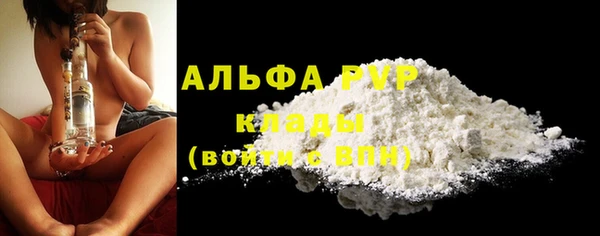 шишки Беломорск