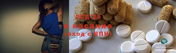 шишки Беломорск