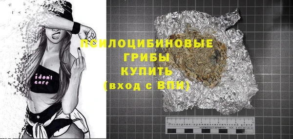 индика Белоозёрский