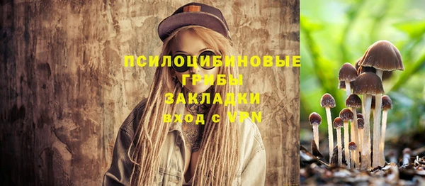 метадон Белокуриха