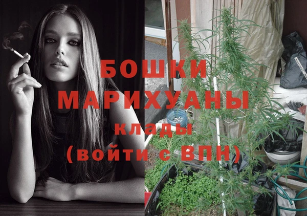 индика Белоозёрский
