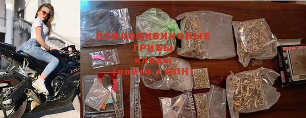 шишки Беломорск