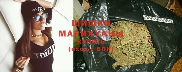 индика Белоозёрский