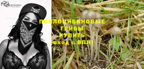 метадон Белокуриха