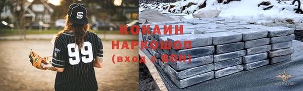 шишки Беломорск